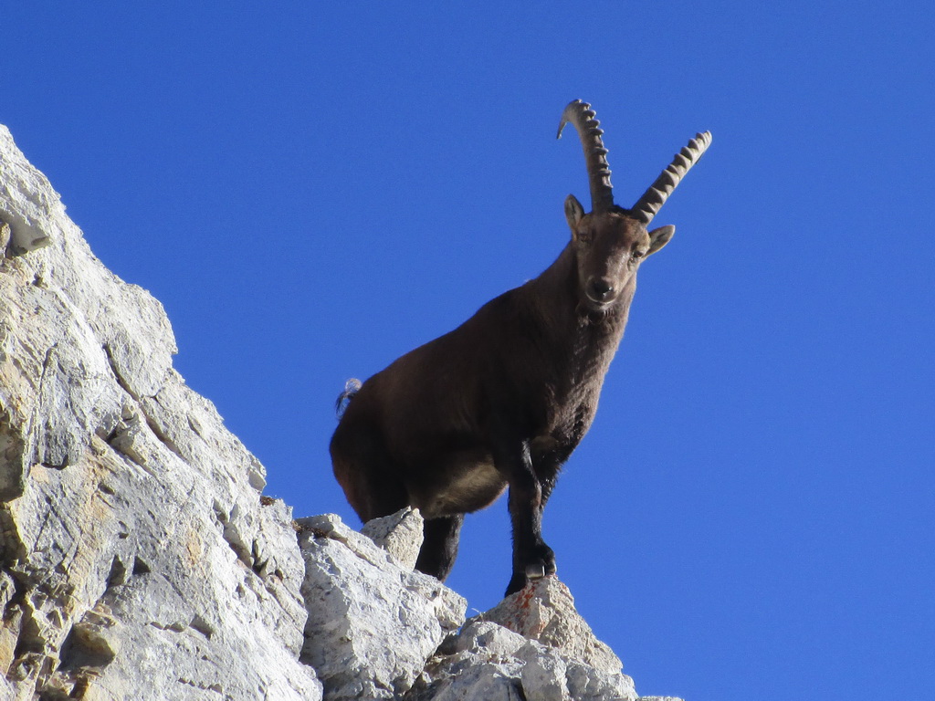 december-v-engadine-piz-alv-2975m-