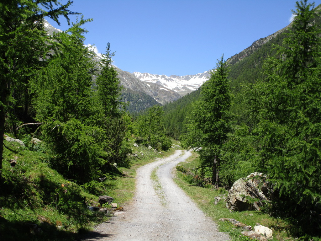 mtb-okruh-kesch-hutte-bergun-albula