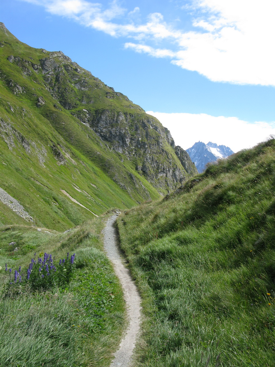 st-moritz-mtb-septimerpass-2310m-